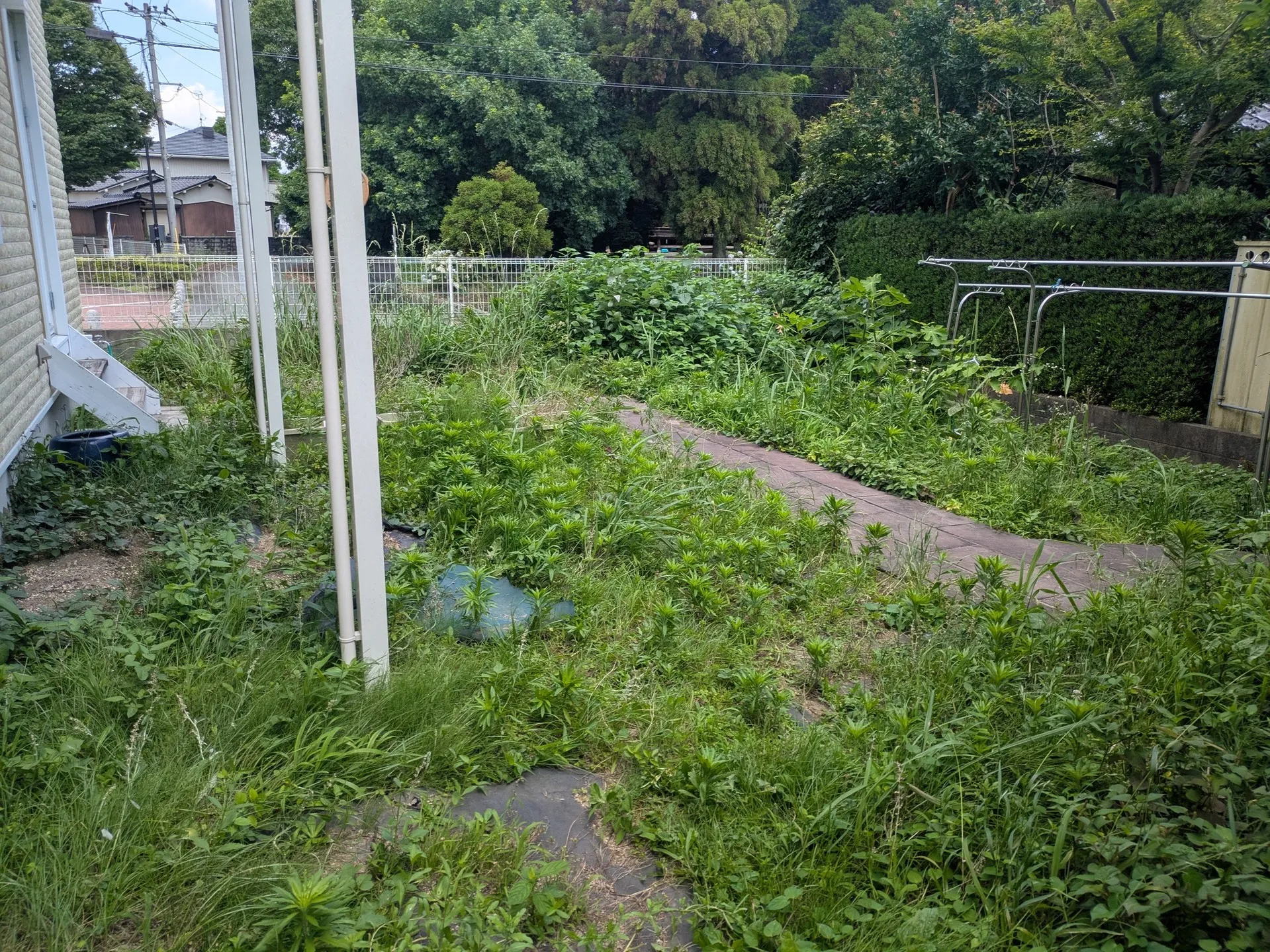 【Before/Afterで見る!🌿防草対策&快適空間へ大変...