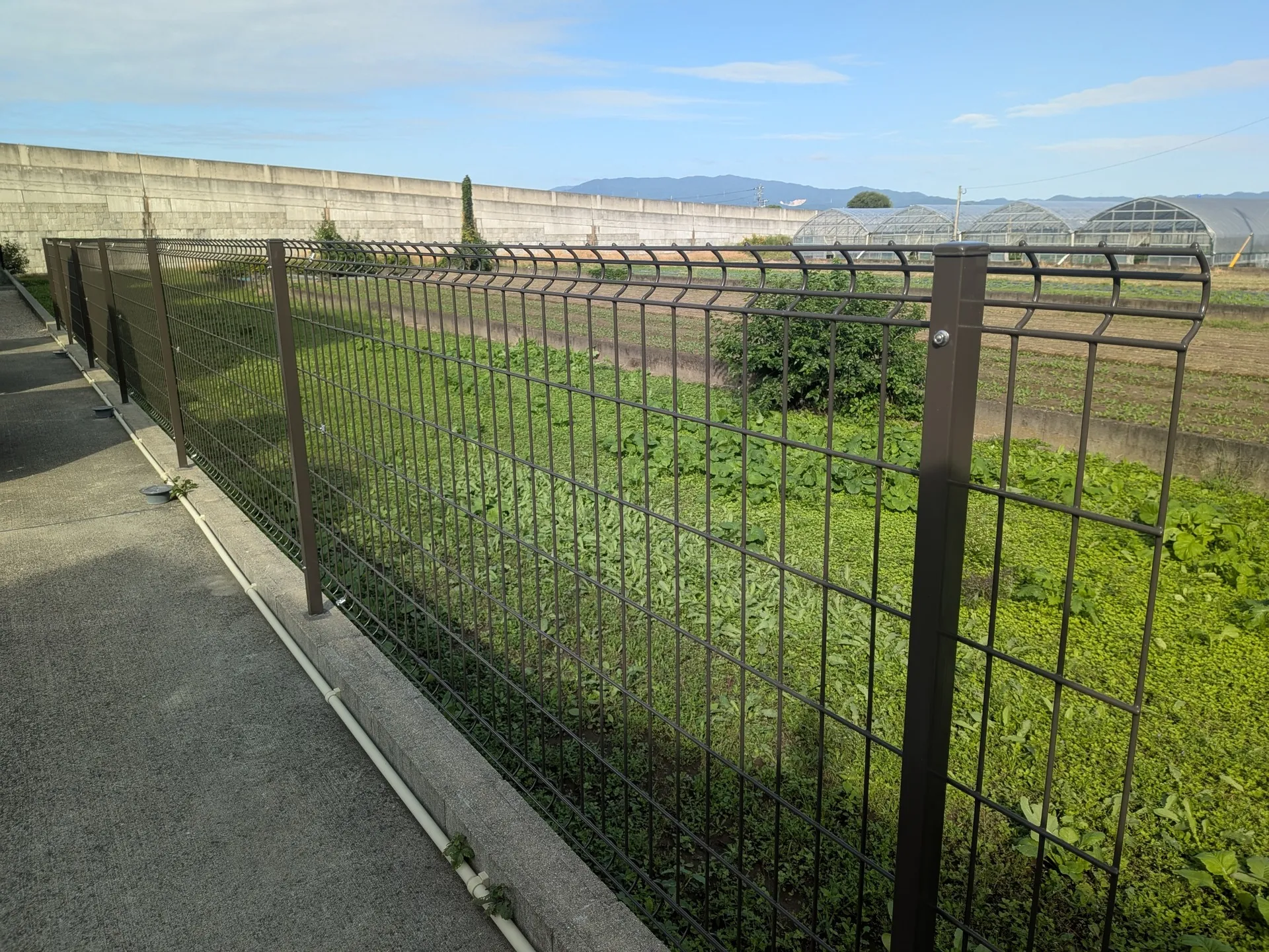 【コストも抑える賢い目隠しフェンスの選び方✨】