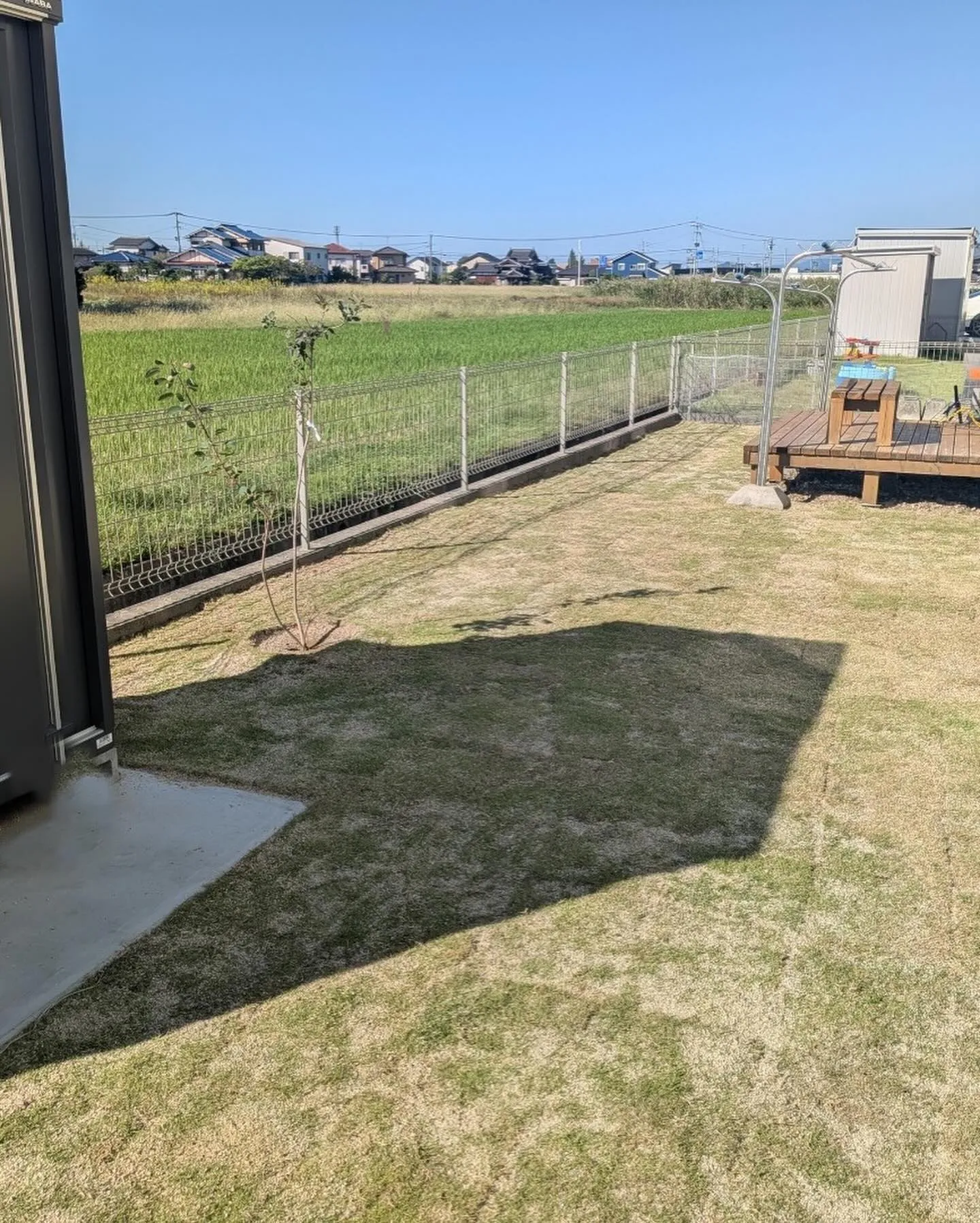 🌱【天然芝敷設工事】🌱