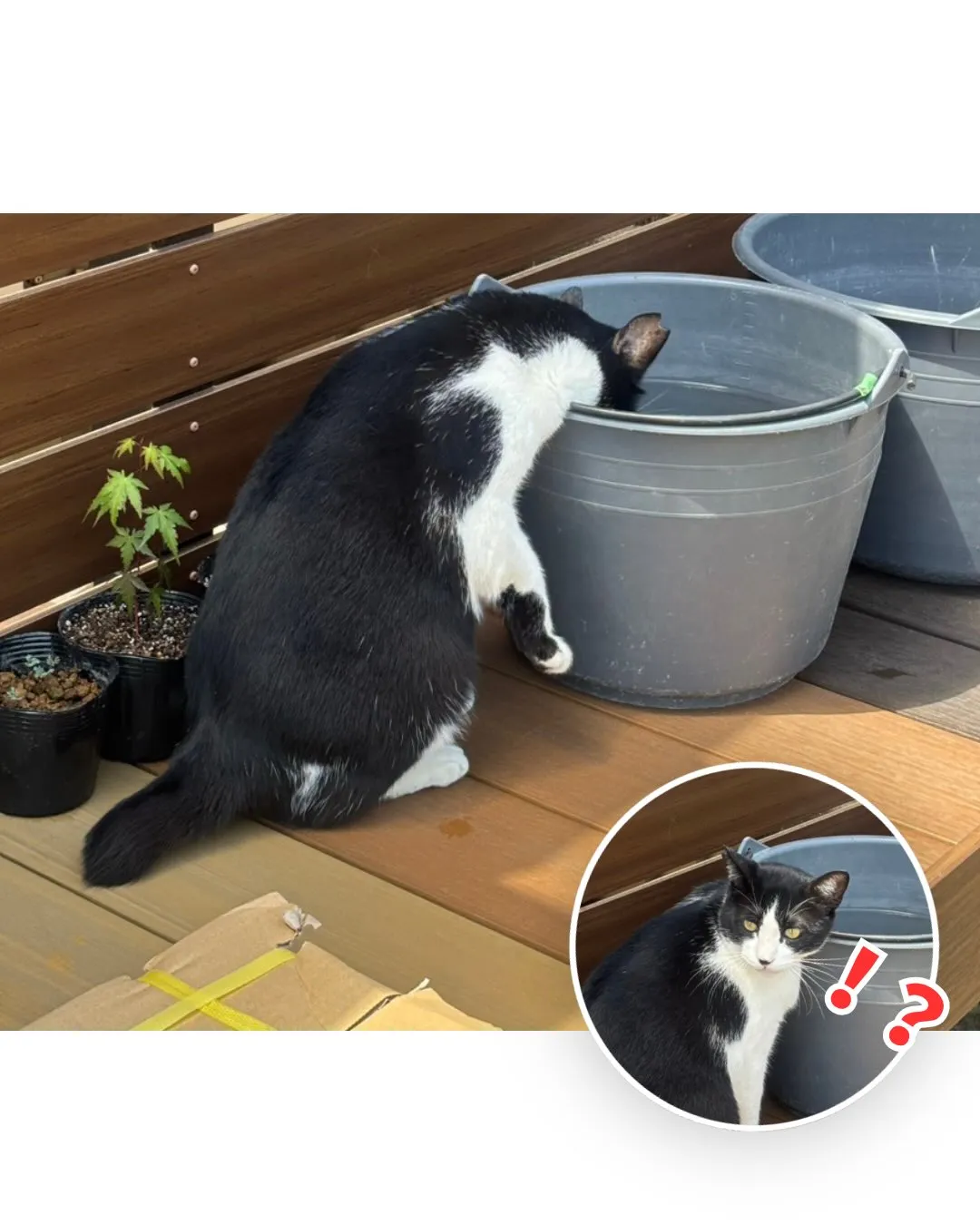 【日常投稿…？】